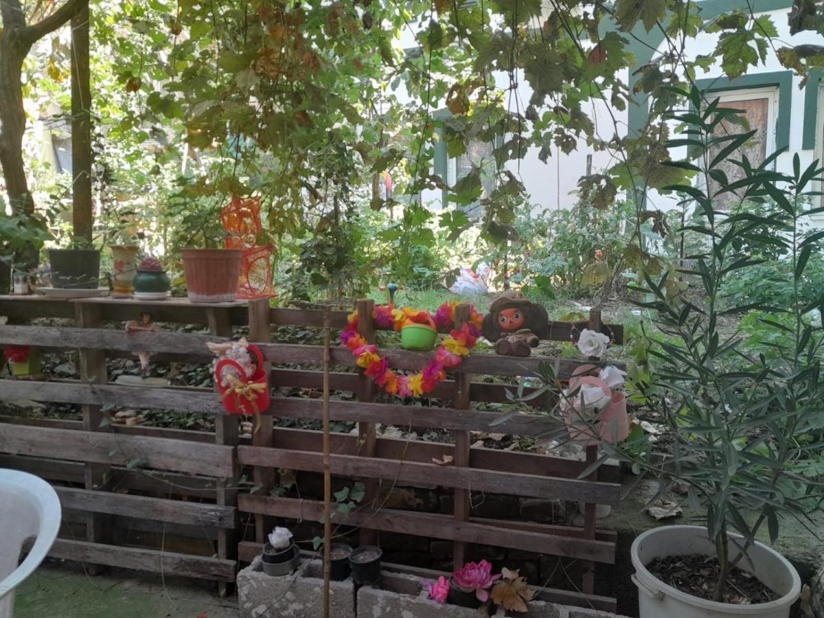 Bed and Breakfast Adem'S Cozy Terrace Retreat Skopje Esterno foto