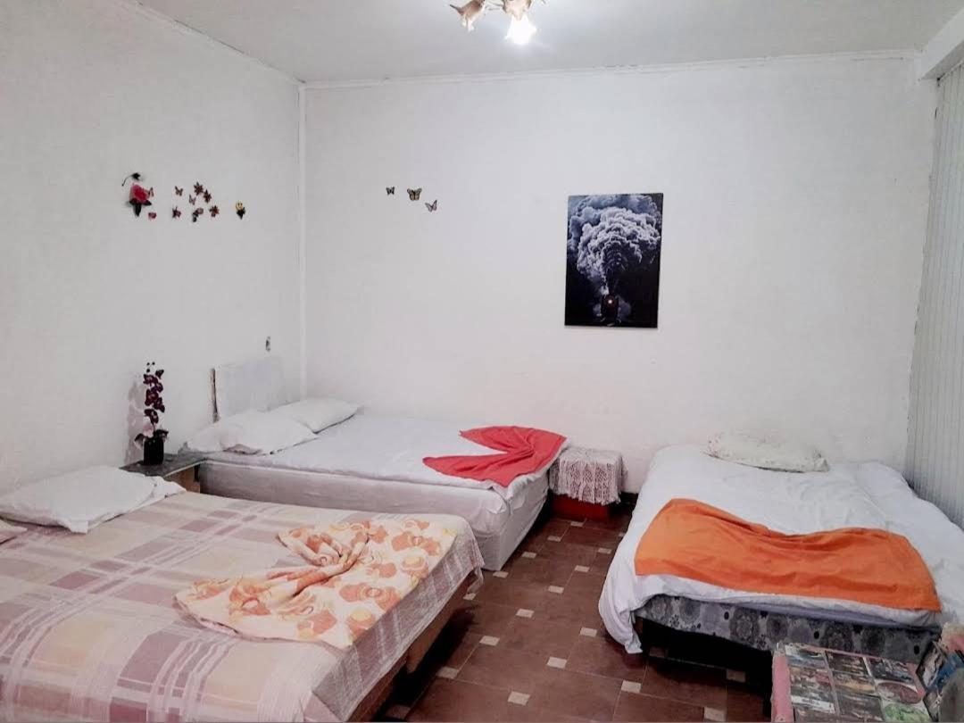 Bed and Breakfast Adem'S Cozy Terrace Retreat Skopje Esterno foto